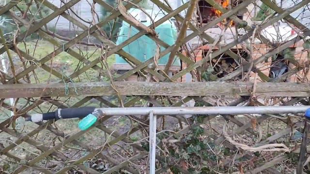 Ділю і пересаджую гейхеру,сіянці чемерника.Огляд садка,рослин. смотреть онлайн