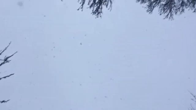 Зимние приметы и новогодние приметы а также пословицы и поговорки про зиму.