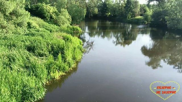 Voronina Life//Врёт//Обзор видео смотреть онлайн