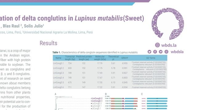 3rd WBDS-LA | Virtual Poster Session - Poster #1738 смотреть онлайн