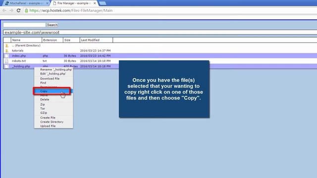 Using FileManager Via WCP Control Panel With Hostek.com