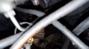 Ремонт автоподкачки топлива на Форд Транзит 2.5л с ТНВД BOSCH