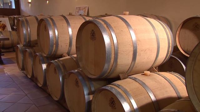 Château Filhot Portes ouvertes смотреть онлайн