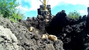 Копаем картошку // Картофелекопалка // Жизнь в деревне.