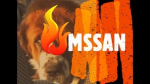 70MAI DASH CAM PRO PLUS установка  на лобовое  стекло .