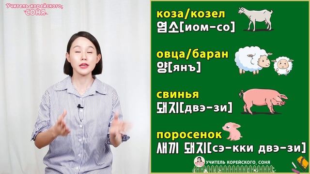 Названия домашних животных на корейском языке (с транскрипцией) смотреть онлайн