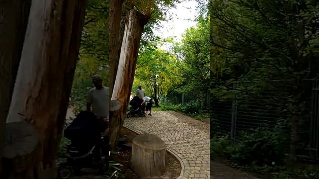Прага Ботанический сад