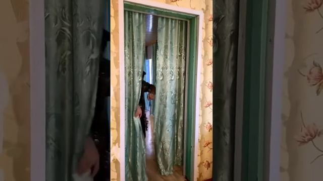 БАТЯ И НОВЫЙ ГОД