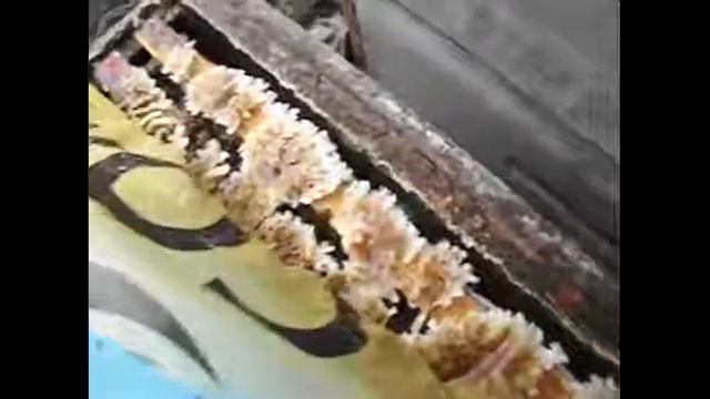 ульевой хостик у семьи пчел - какой лучше летом и зимой смотреть онлайн