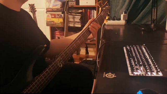 The Climb - Perfectly Nothing (Bass Cover) смотреть онлайн