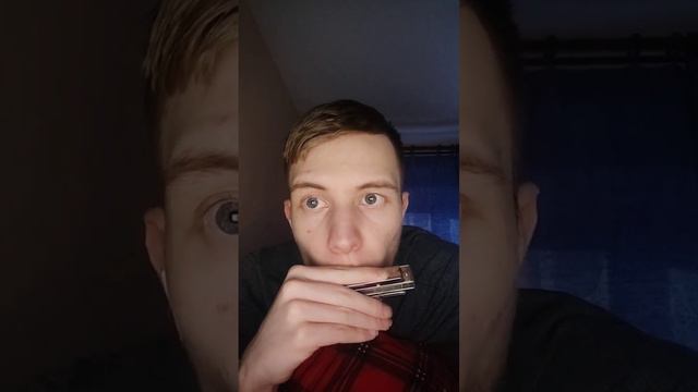 песня о веселом ветре на губной гармошке #музыка #гармошка #музыкальныйинструмент смотреть онлайн