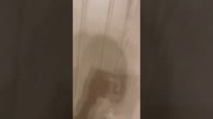 Как выйти из квартиры при поломке ночной задвижки