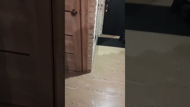 Укладка камня или кафеля на силиконовый герметик. смотреть онлайн