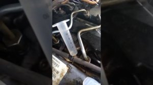 SsangYong Kyron проверка форсунок