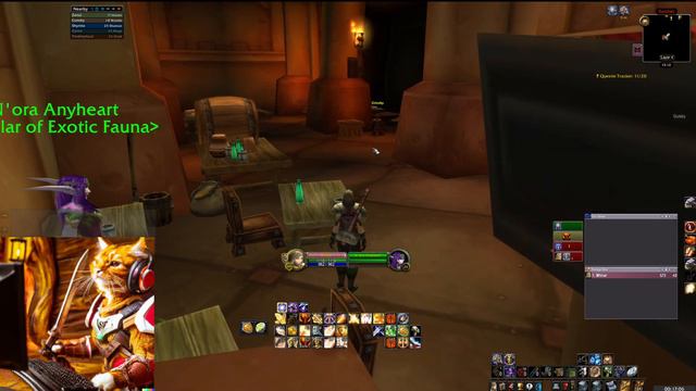 How to get your Epic Void-Touched BIS Items Guide [WoW SoD] смотреть онлайн