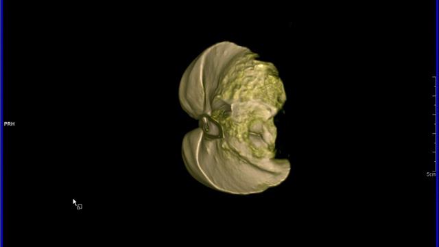 lung cat 2 смотреть онлайн