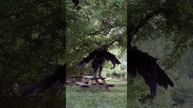 running up that hill #fyp #katebush #runningupthathill смотреть онлайн