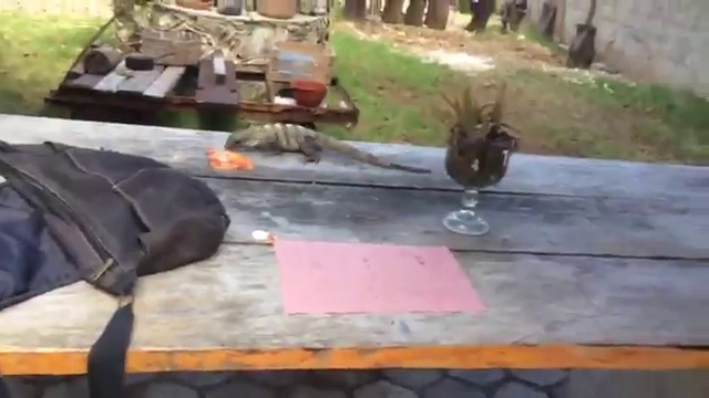 Не только ты любишь пиццу смотреть онлайн