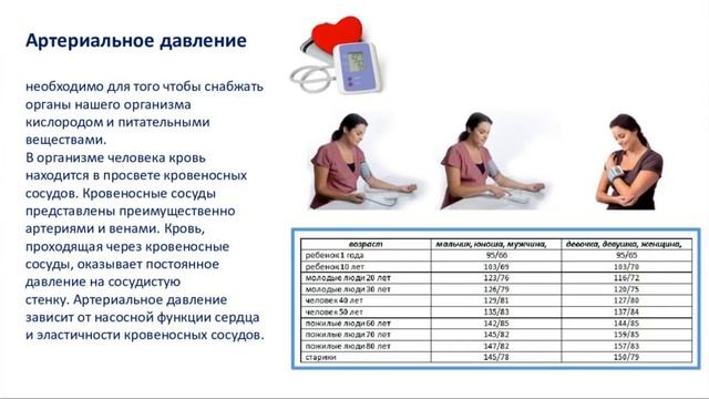 НЕВЕРОЯТНЫЙ БИЗНЕС с HELO 17 11 2016 смотреть онлайн