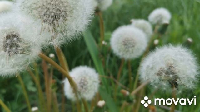 Белая Калитва, ночная съемка, 2022 г. Новогодний ночной Новочеркасск 2022 год. смотреть онлайн