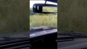 Как удалить запах сырости из салона автомобиля.