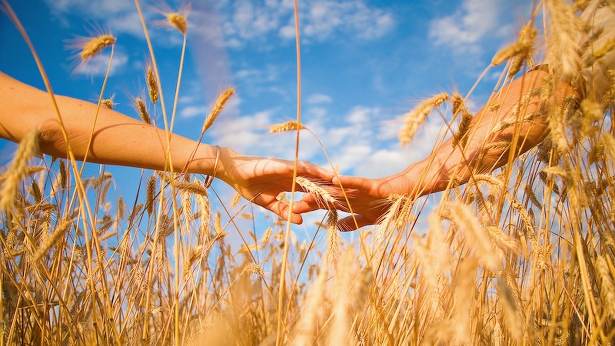 Пусть растаяли с годами мечты... смотреть онлайн