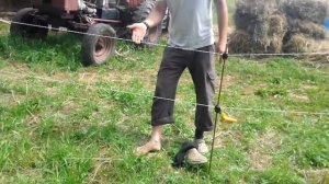 Электропастух. Пробуем на себе.