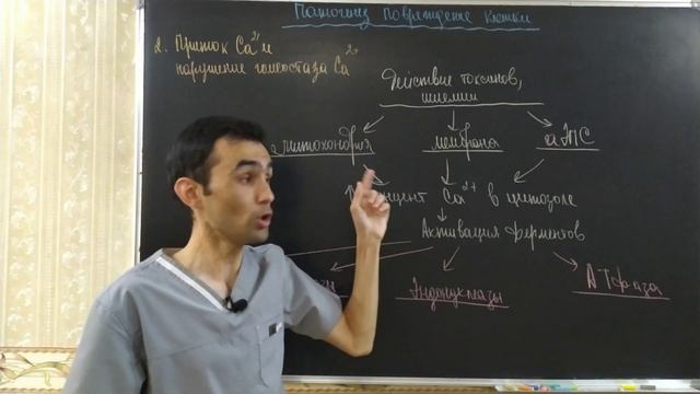 Патофизиология. Повреждение клетки-1 часть. Этиология и патогенез.