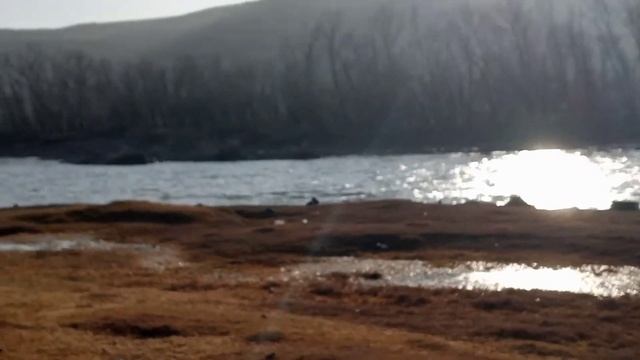 В поисках Руставского леса. #Рустави #Грузия смотреть онлайн