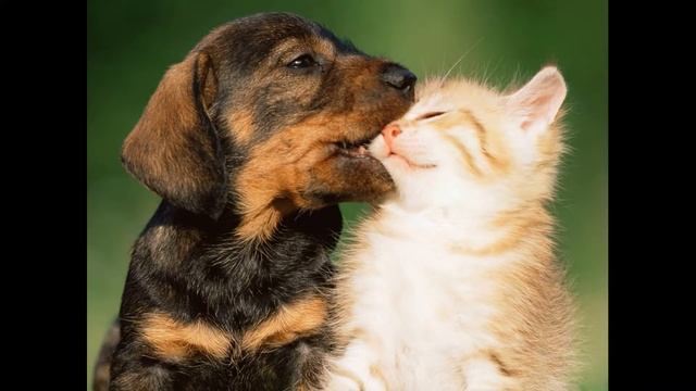 Стихи о дружбе Дружба наоборот Автор Александра Базыльникова смотреть онлайн