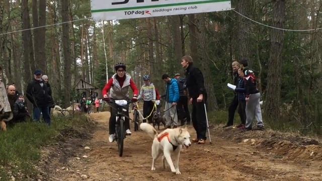 We are a Champions. Burunduko taurė 2016 смотреть онлайн