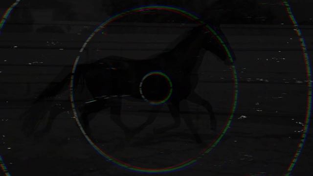 Muraru Ioan: Cavalcadă ( Radu Gyr ) смотреть онлайн