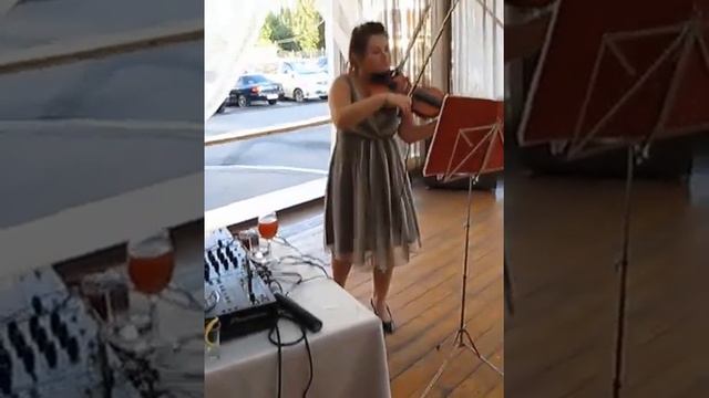 Une vie d'amour (violin cover) Скрипач на праздник! 8 951 879 07 89 смотреть онлайн