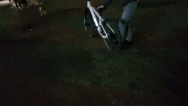 ВЕЧЕРНИЙ СТРИТ/ТРЮКИ НА ЗАДНЕМ/СТАНТ ПО ГОРОДУ смотреть онлайн