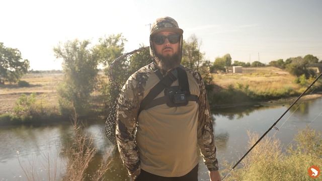 How to Fly Fish for Carp on the Denver South Platte // READING WATER with Rick Mikesell смотреть онлайн