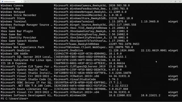 Intro to Windows Package Manager смотреть онлайн