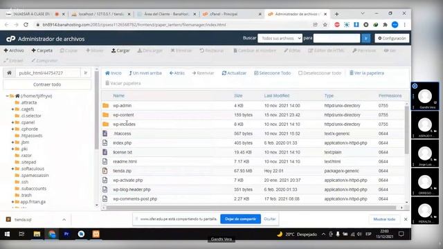 Como migrar Wordpress de Xampp a Cpanel смотреть онлайн