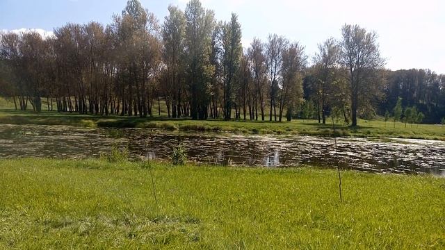 Почему ХОРОШО ТАМ, ГДЕ НАС НЕТ смотреть онлайн