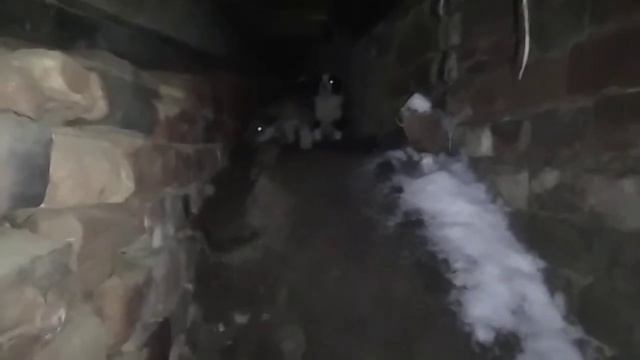 Думал почистить снег с крыши гаража, а обнаружил щенков...