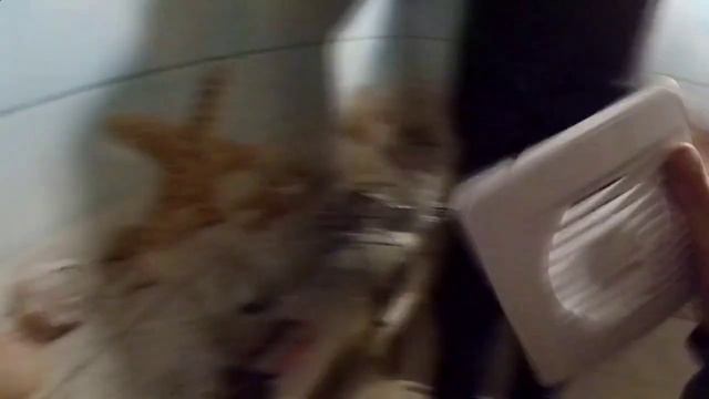 Недорогой ремонт в ваной комнате своими руками смотреть онлайн