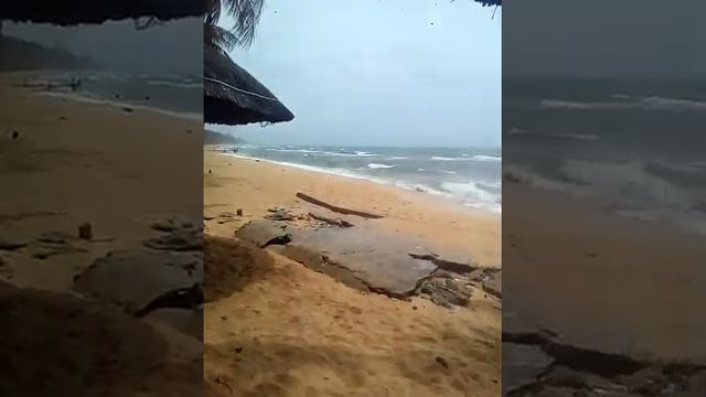 Буря фукуок июнь 2018 смотреть онлайн