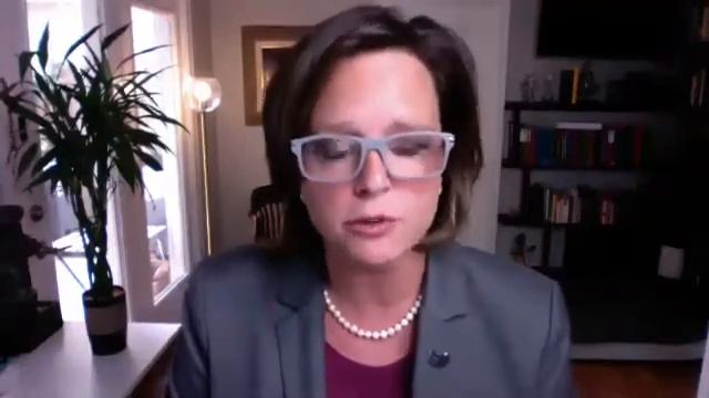 Ann Johnson (TX HD 134) meeting with Gertrude Stein Club and DC Blue Wave смотреть онлайн
