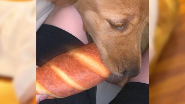 Завышенные ожидания и суровая реальность (6 серия) смотреть онлайн