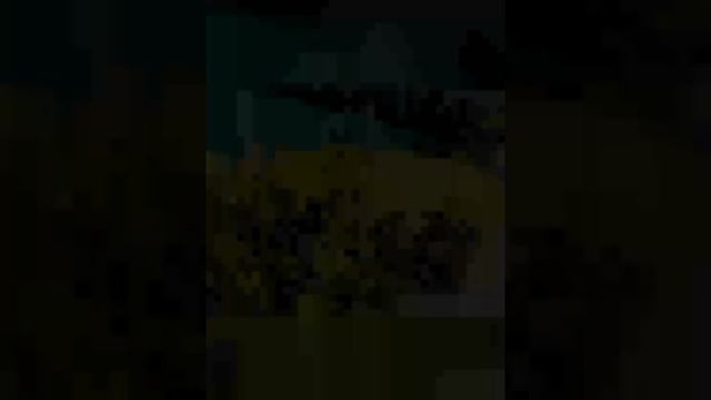 Whatsapp Video 2023-05-14 At 21.12.47 смотреть онлайн