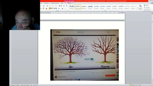 32 ч 02 Как погубить дерево обрезать смотреть онлайн