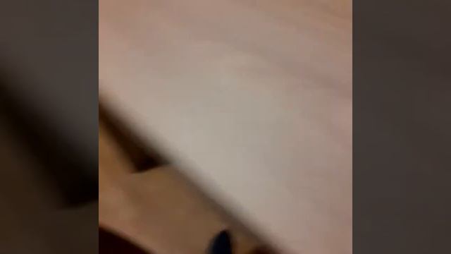 8 декабря 2020 г. смотреть онлайн