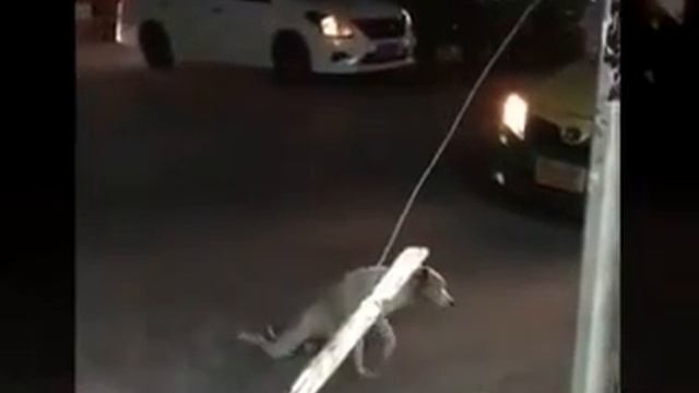 keepa chahal 9547470100(7) смотреть онлайн