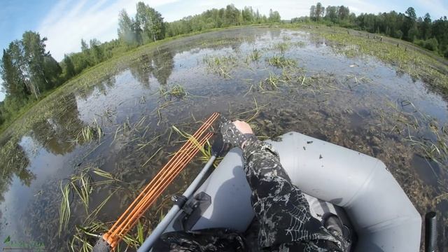 9 КГ РЫБЫ ЗА 2 ЧАСА! Рыбалка с рогаткой и стрелами с лодки в Июле #68 смотреть онлайн