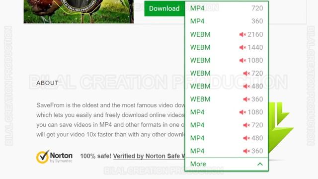 HOW TO DOWNLOAD ANY VIDEO & AUDIO FROM YOUTUBE URL LINK | BILAL CREATION PRODUCTION смотреть онлайн