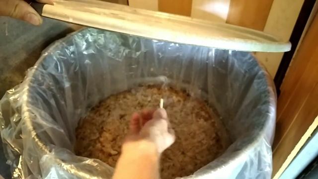 "Грушовка"Начало фруктового сезона. Четвертый день брожение,проверка дедовским методом.? смотреть онлайн